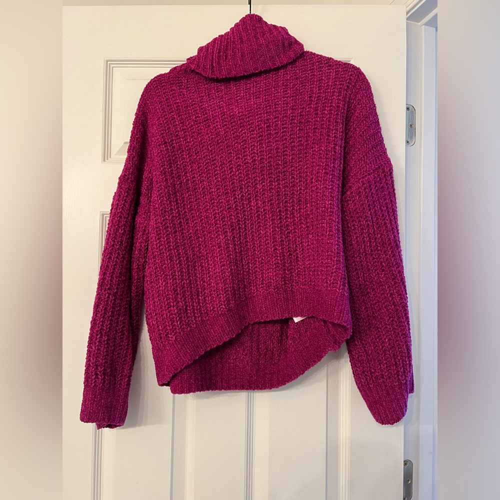 Express Turtleneck Sweater